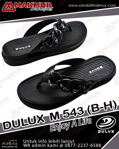 [HWI0362] Dulux M 543 (B) [H] (36-40)