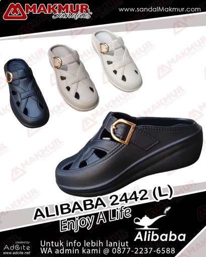 [ALB0060] Alibaba 2442 L (36-41) 