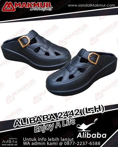 [ALB0061] Alibaba 2442 L-H (36-41) 